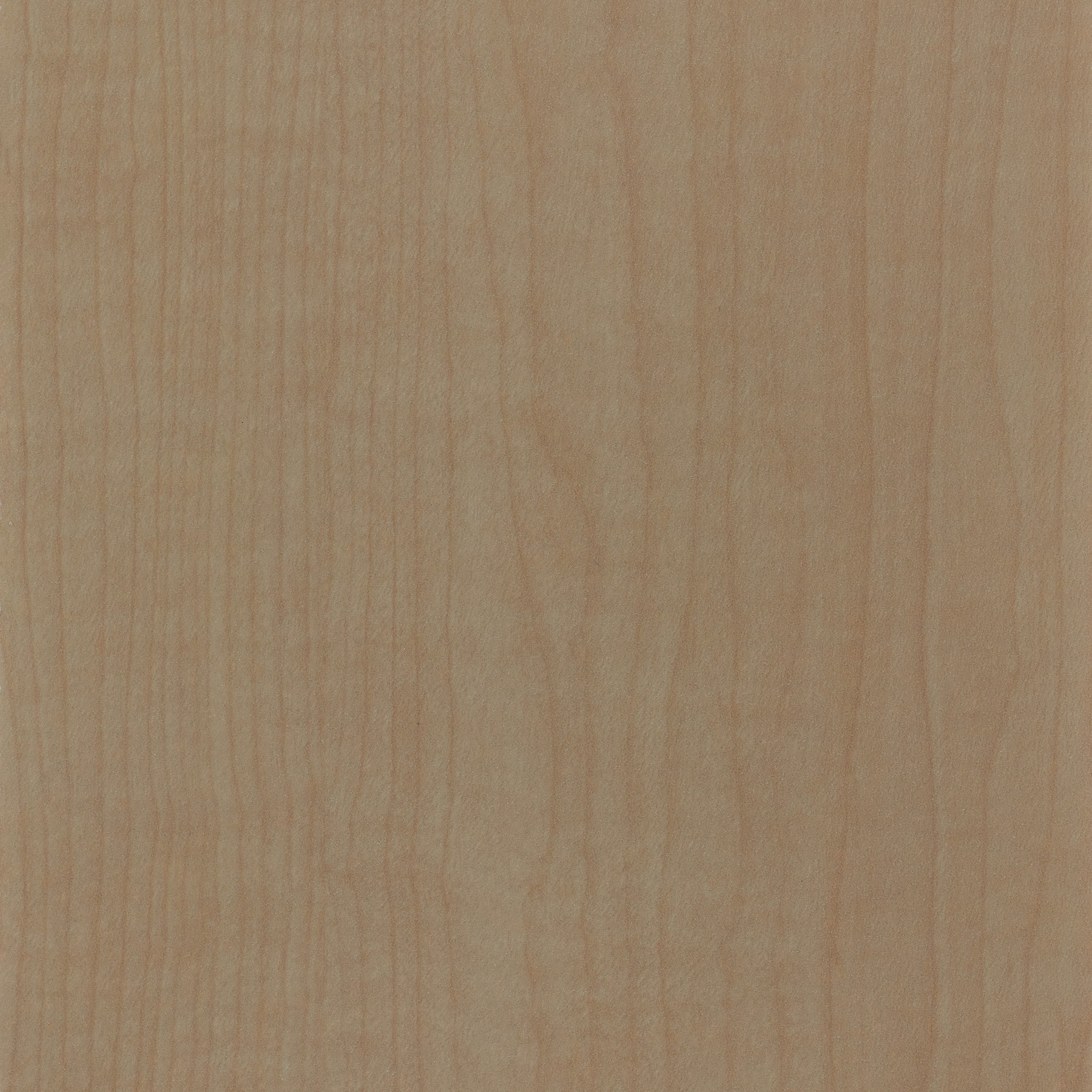 Natural Maple (Central Palette), 125