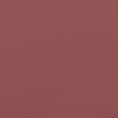 Pace (Leather) Raspberry