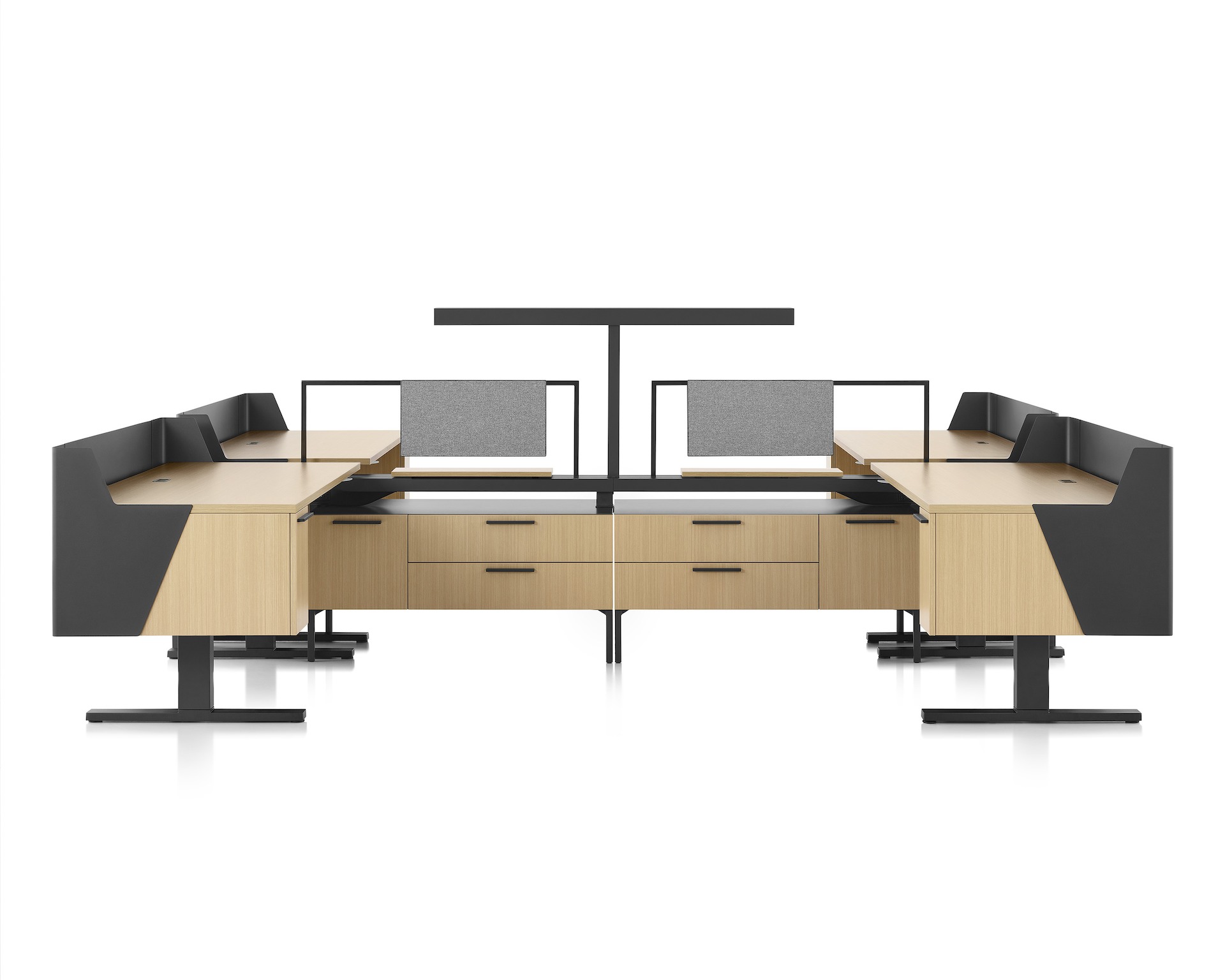 Brown and black Canvas Vista workstations with Motia sit-to-stand desks, modesty and privacy screens and t-shaped light.