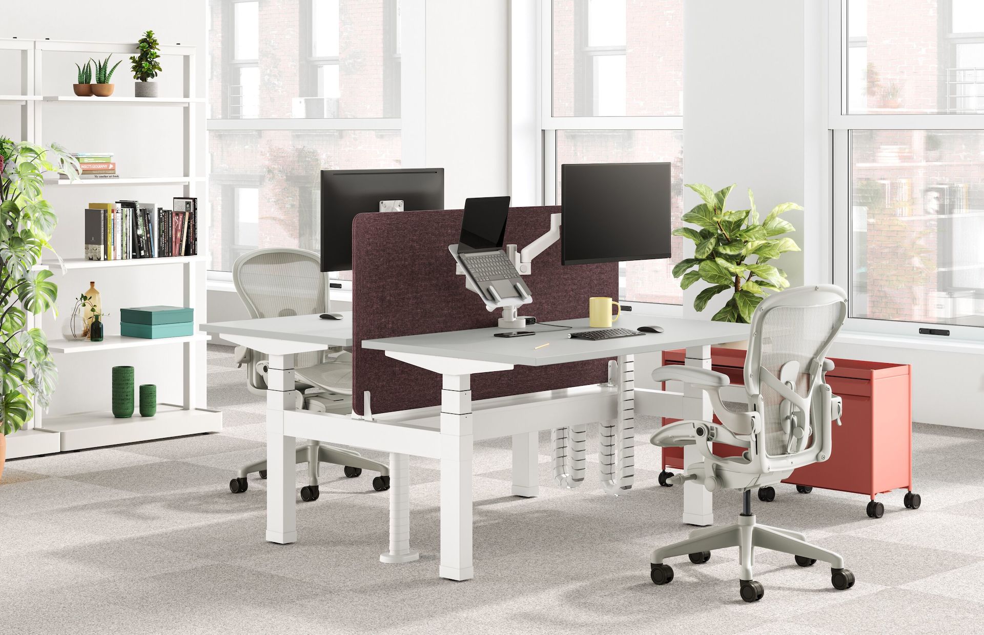 Nevi - Sit-Stand - Herman Miller