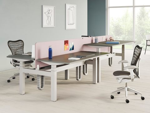 Ein Gruppe von vier höhenverstellbaren Ratio Schreibtischen in einer hellen Büroumgebung, mit grauen Arbeitsplatten, rosa Trennwänden und zwei grauen Mirra 2 Stühlen. Im Hintergrund stehen zwei Keyn Stühle neben einem Civic Tisch.
